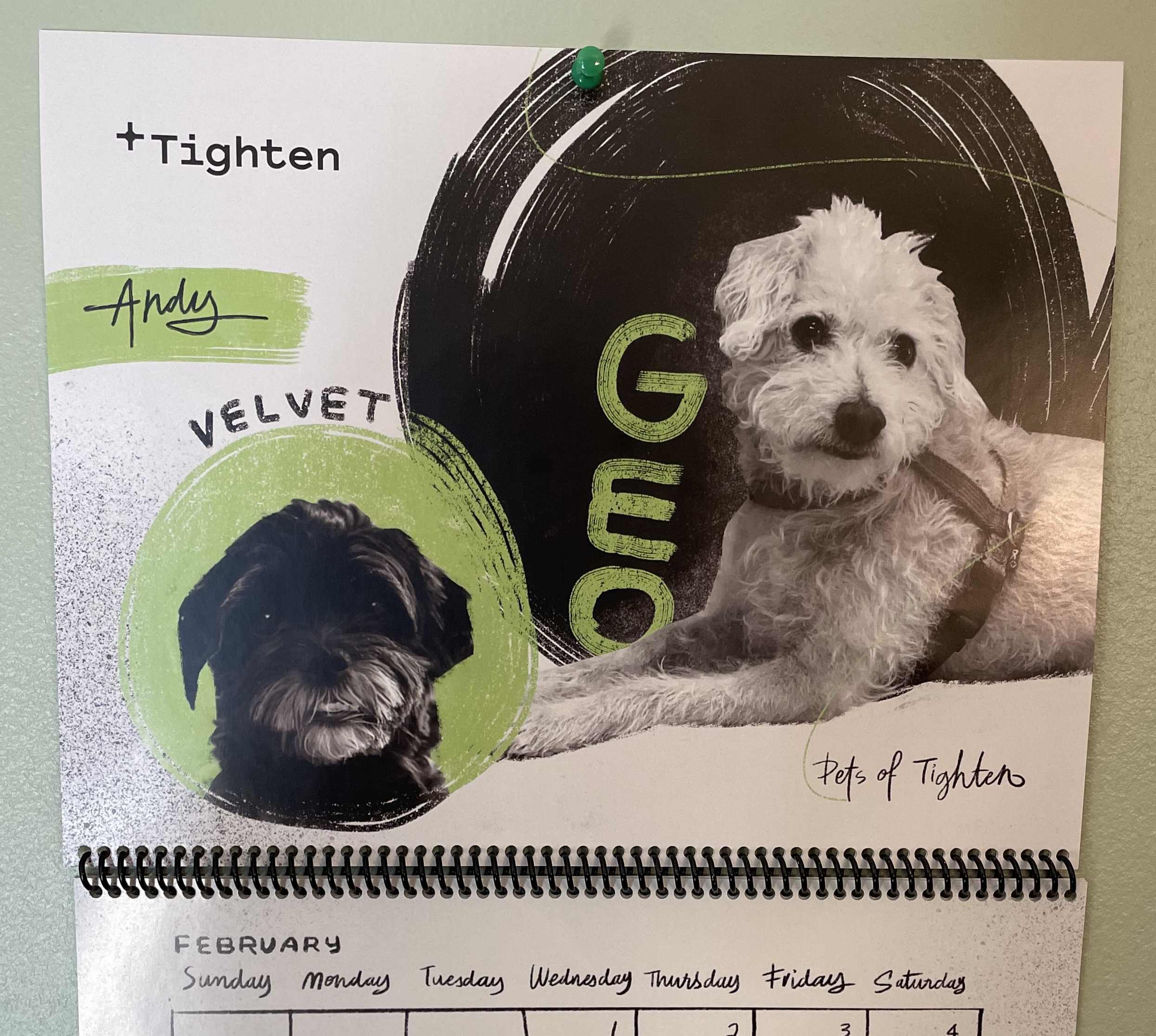 A "Pets of Tighten" calendar pinned to a mint green wall. This month features my two dogs Velvet and Geo.